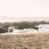 sourcedsocal